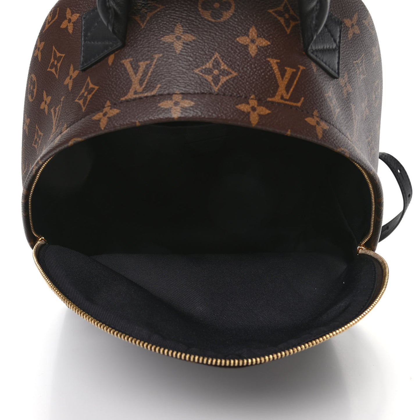 Monogram Palm Springs Backpack MM
