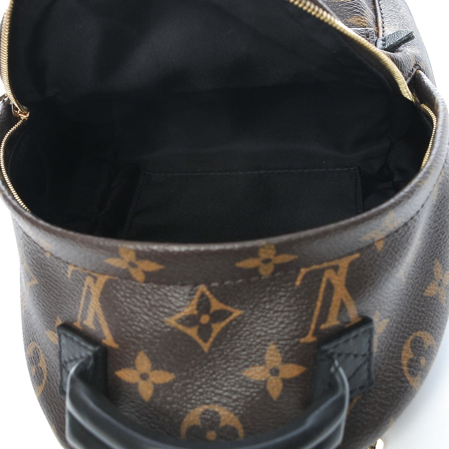 Monogram Palm Springs Backpack Mini