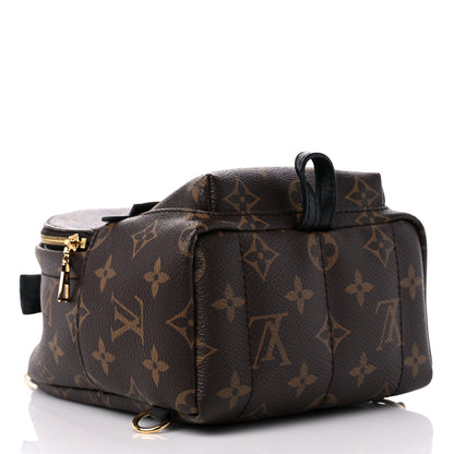 Louis Vuitton Monogram Palm Springs Backpack Mini 4 of 10