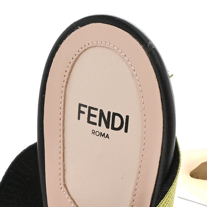 Fendi Technical Mesh FF Rainbow Beaded Colibri 85mm Slingback Pumps 39 Tobacco Black Multicolor 11 of 11