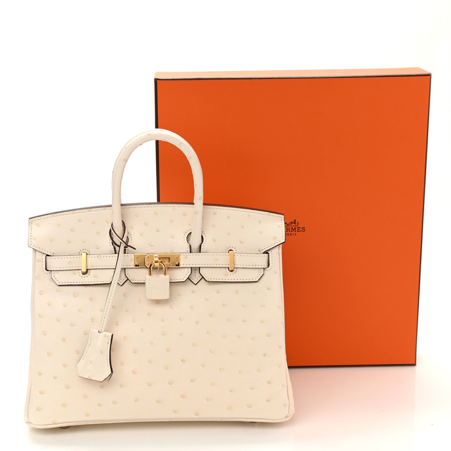 Ostrich Birkin 25 Nata