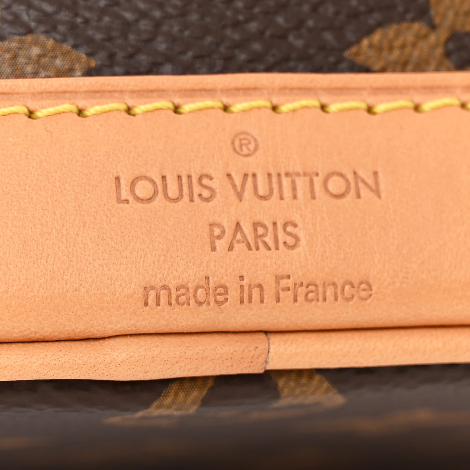 Louis Vuitton Monogram Nano Noe NV 6 of 10