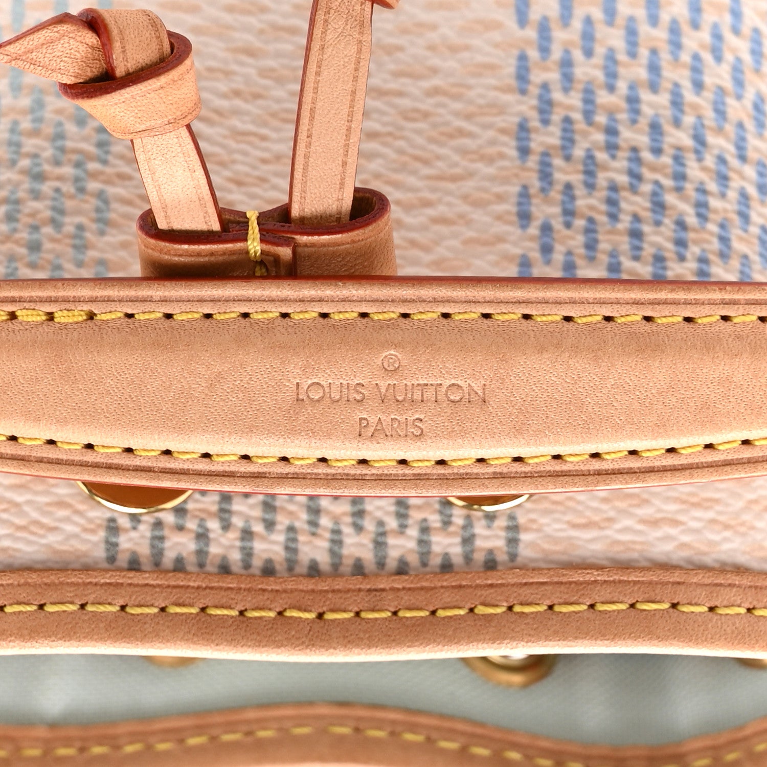 Louis Vuitton Damier Giant Nano Noe Pistachio 6 of 9