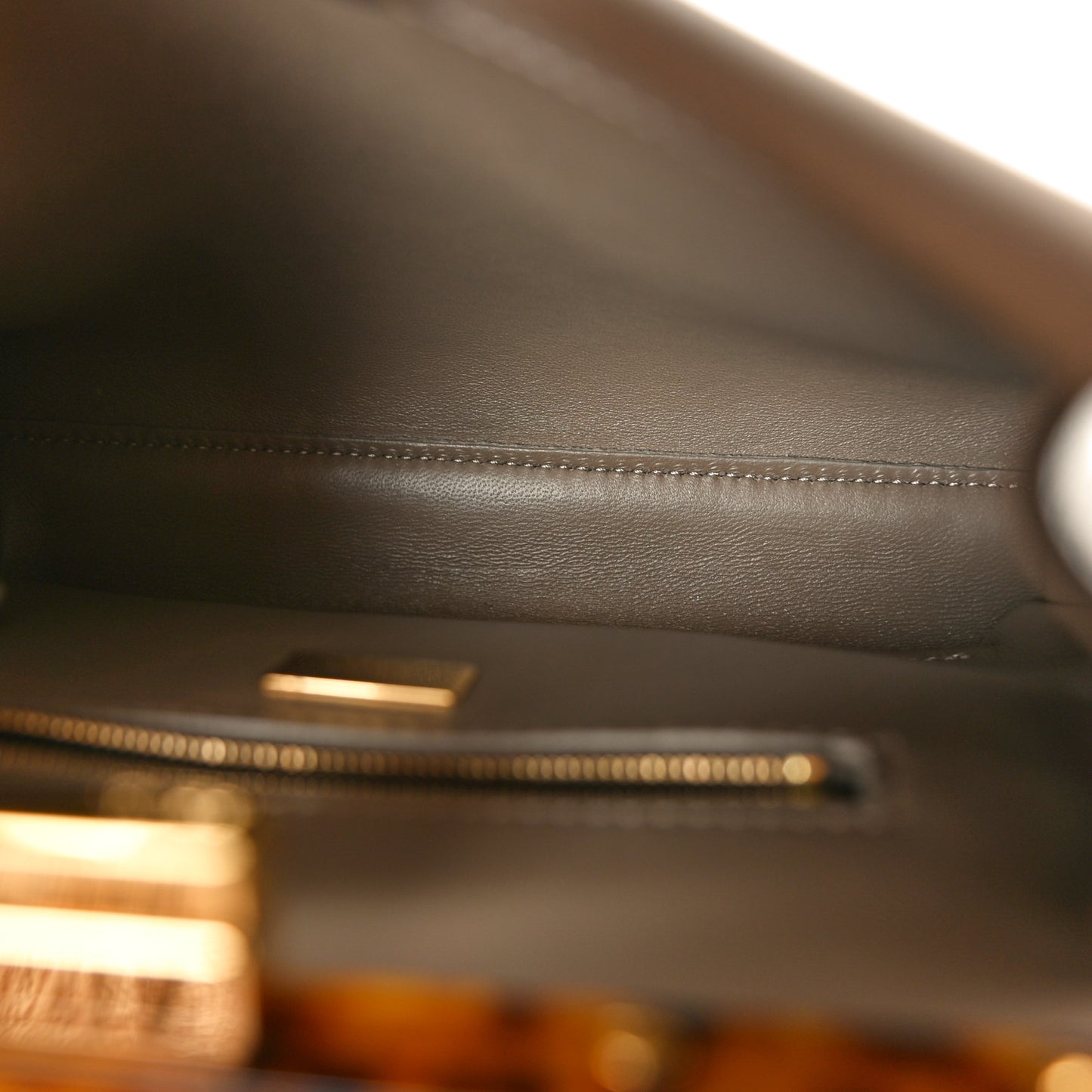 Vitello Seta Shiny Nappa Plexiglass Tortoise Mini Peekaboo Iconic Satchel Tortora