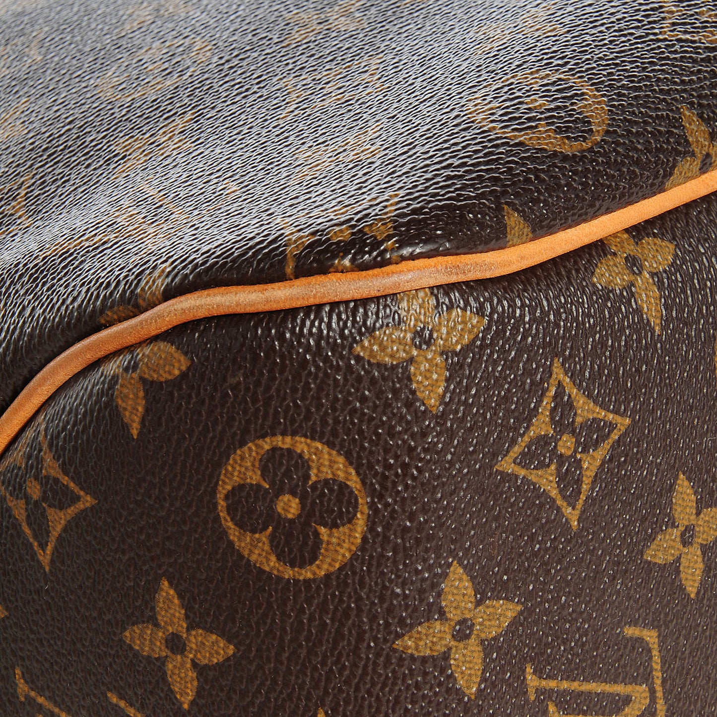 Monogram Delightful PM