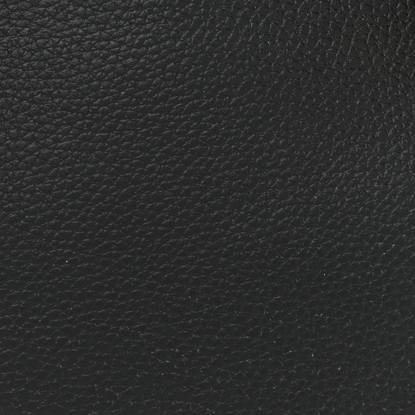 Pebbled Calfskin Small Skull Padlock Zip Around Tote Black