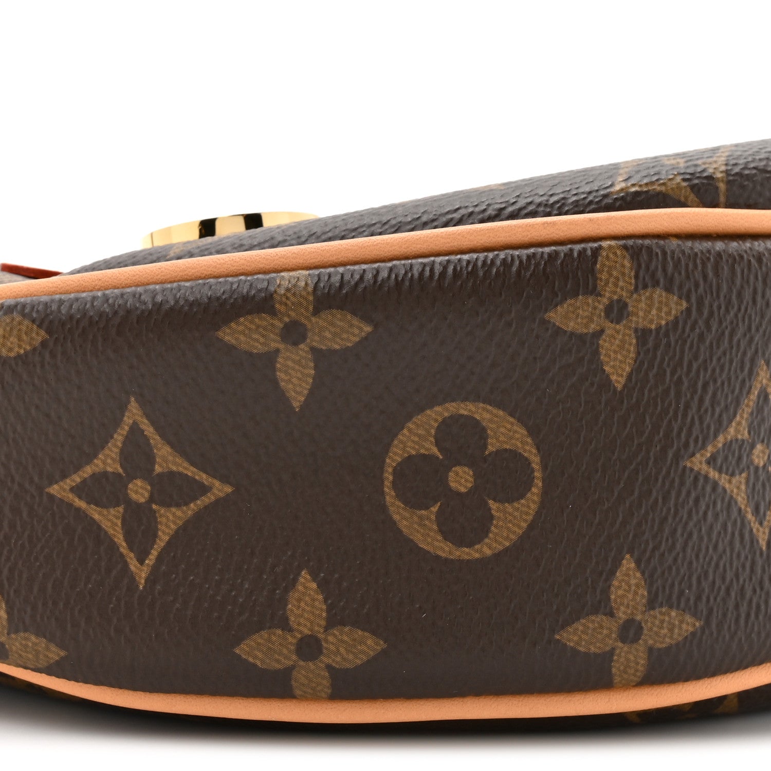 Louis Vuitton Monogram Loop 8 of 8