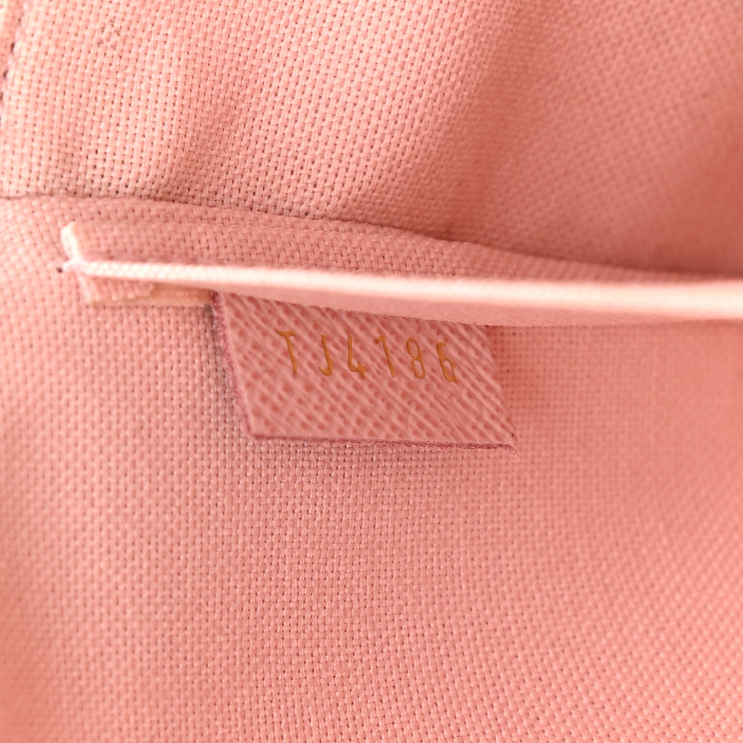 Monogram Lovely Birds Pochette Felicie Chain Wallet