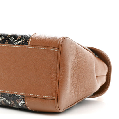 Goyard Goyardine Mini Saigon Black Gold 9 of 12