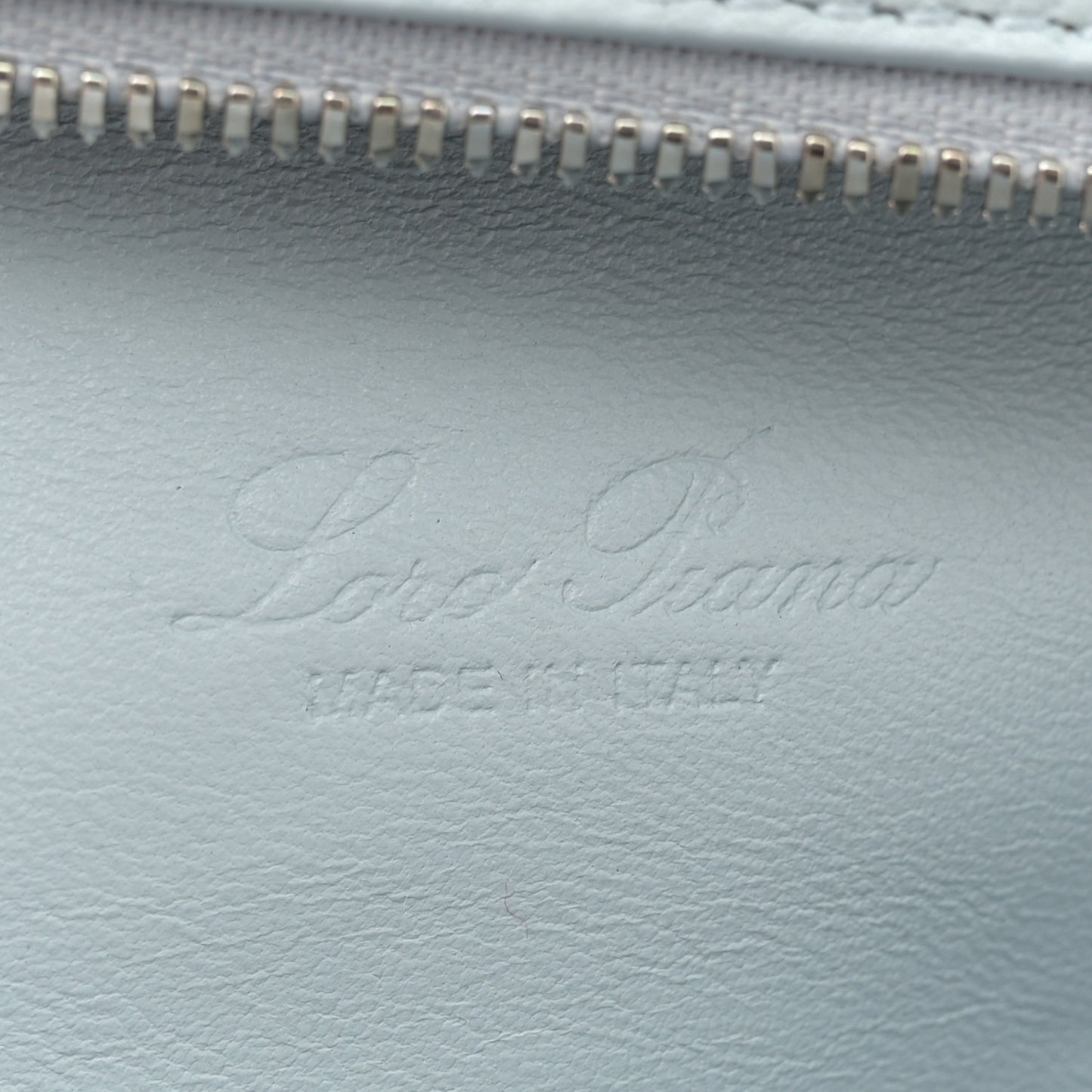 Grained Calfskin L19 Extra Pocket Pouch Minty Breeze