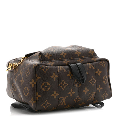 Louis Vuitton Monogram Palm Springs Backpack PM 4 of 10