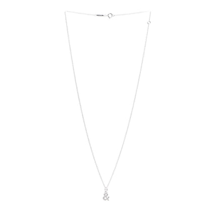 Tiffany 18K White Gold Diamond Small Ampersand Pendant Necklace 3 of 6