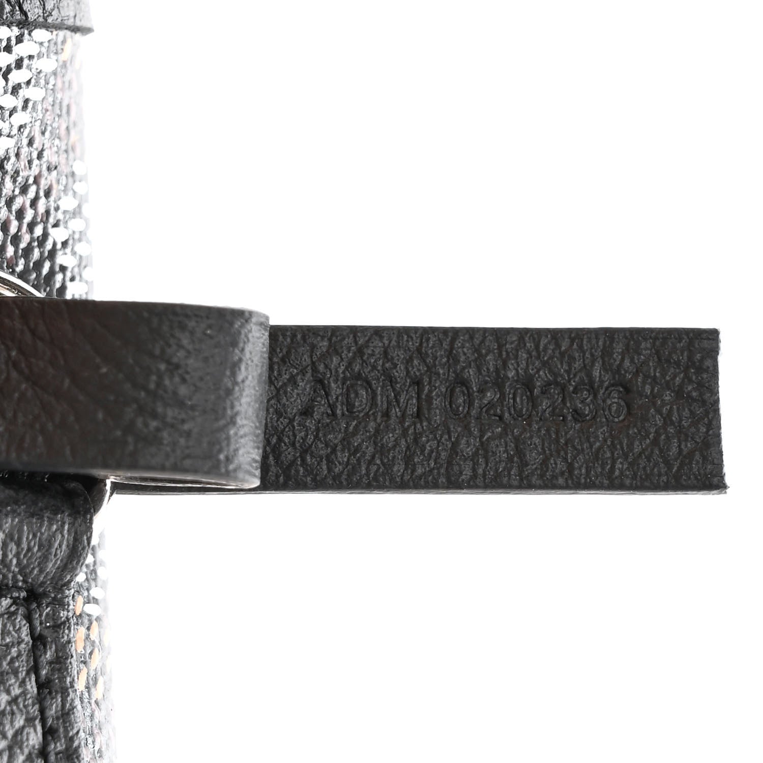 Goyard Goyardine Saint Louis GM Black 9 of 12