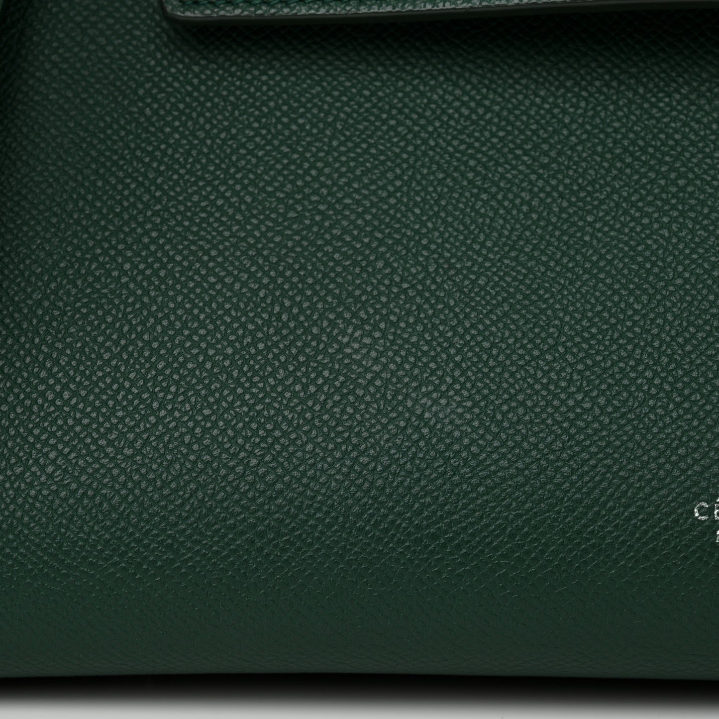 Grained Calfskin Mini Belt Bag Forest