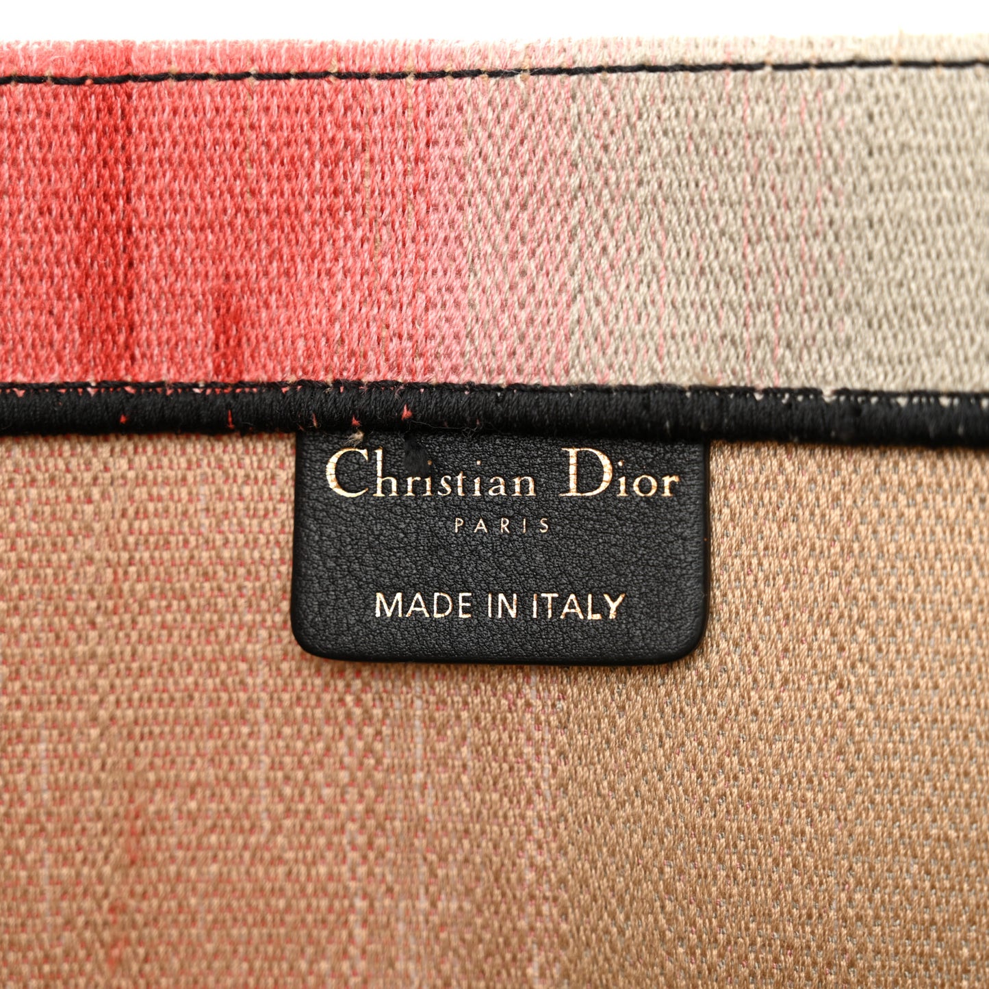 Canvas Embroidered Medium Dioraura Book Tote Multicolor