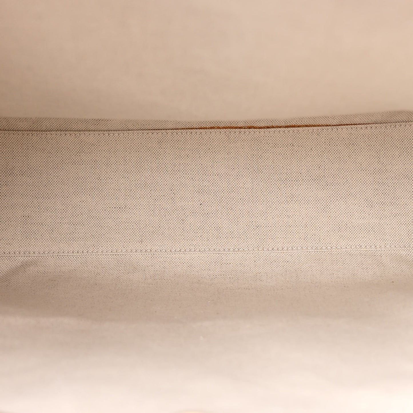 GG Supreme Monogram Textured Dollar Calfskin Web Medium Retro Interlocking G Vertical Tote Bag Beige Ebony Brown Sugar