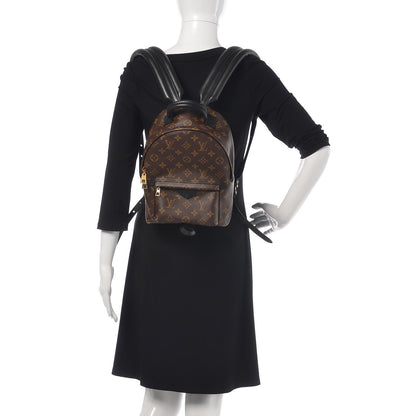Louis Vuitton Monogram Palm Springs Backpack PM 3 of 13