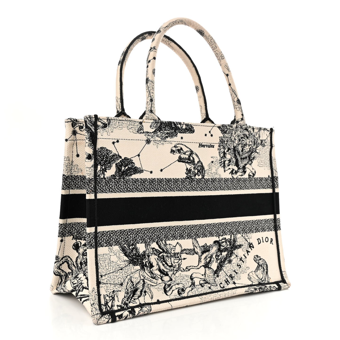 Canvas Zodiac Toile De Jouy Embroidered Medium Book Tote Latte