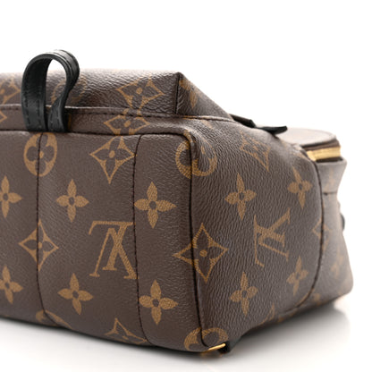 Louis Vuitton Monogram Palm Springs Backpack Mini 10 of 14