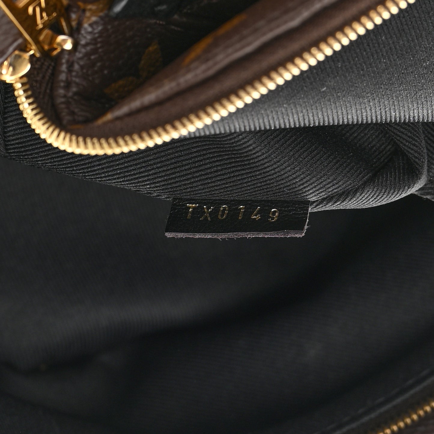 Monogram Palm Springs Backpack Mini