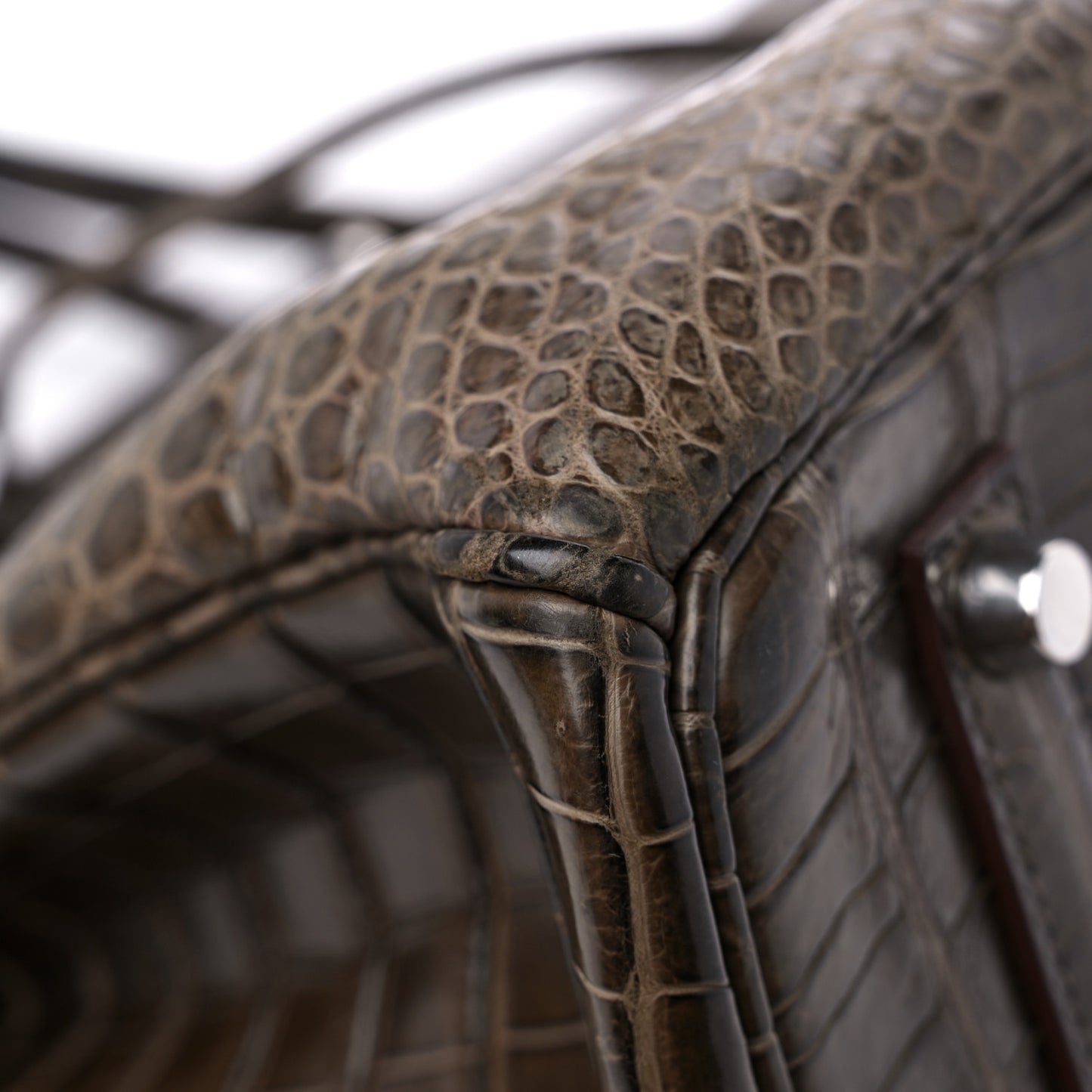 Matte Porosus Crocodile Birkin 35