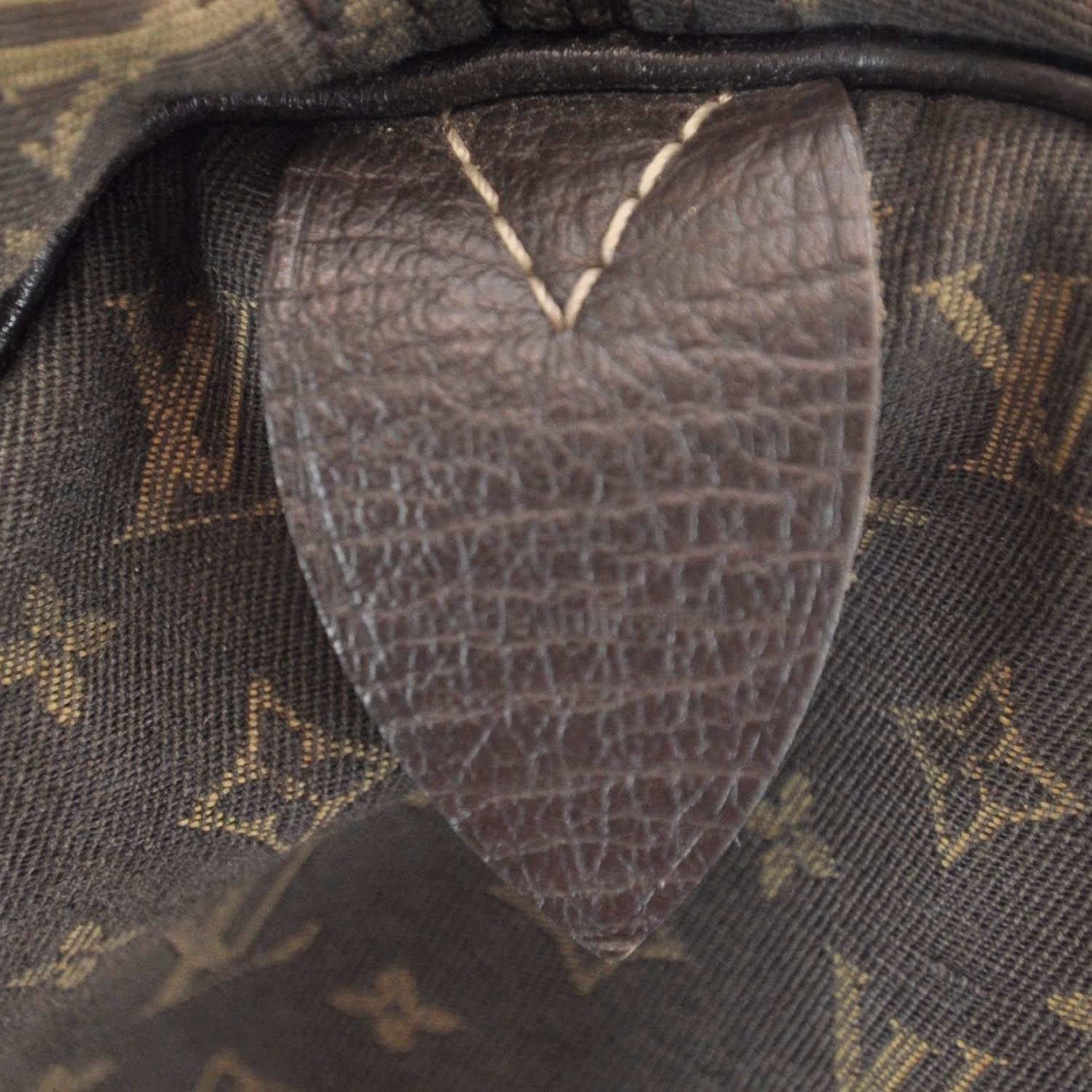 Louis Vuitton Mini Lin Speedy 30 Ebene 6 of 6