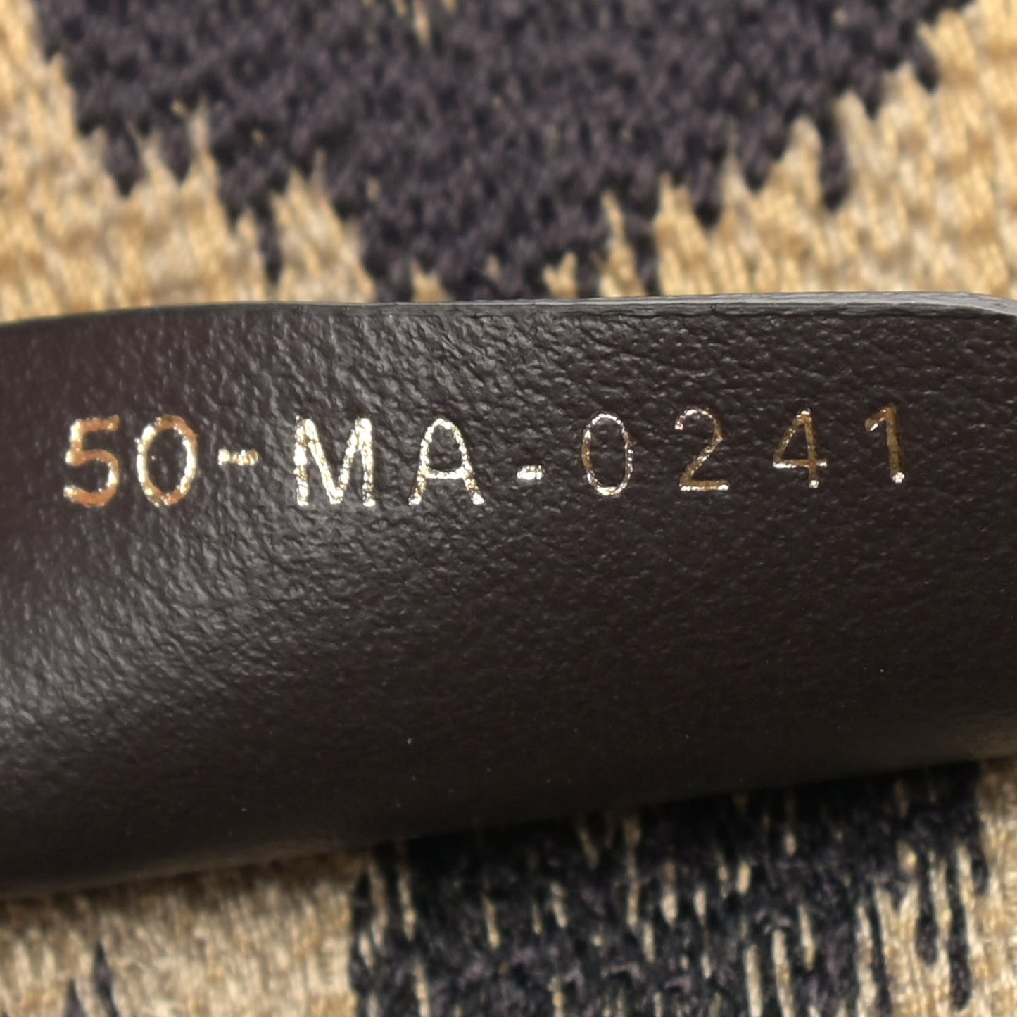 Canvas Mizza Embroidered Medium Leopard Book Tote Beige