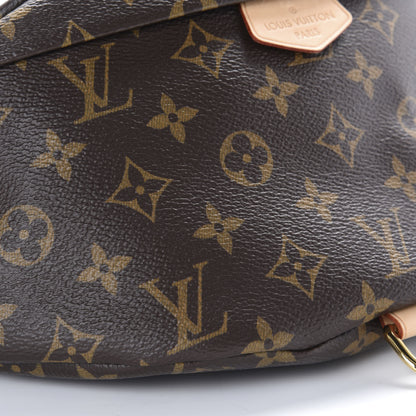Louis Vuitton Monogram Bumbag 5 of 10