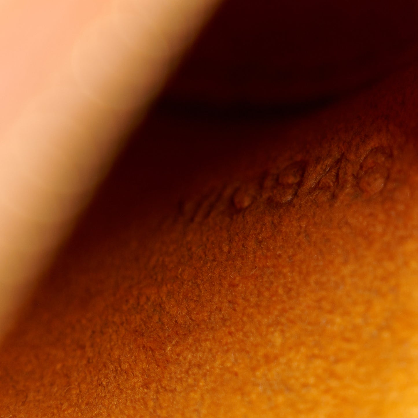 Epi Soufflot Kenyan Fawn