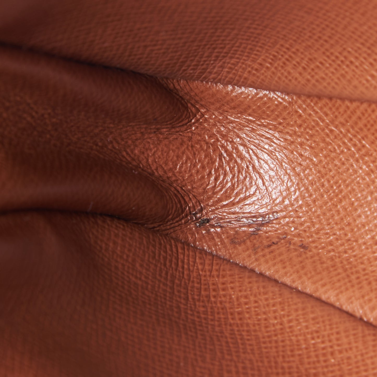 Monogram Pochette Marly Dragonne 22