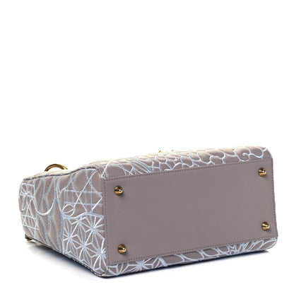 Christian Dior Lambskin Embroidered David Wiseman Medium Art Lady Dior Light Grey 3 of 8