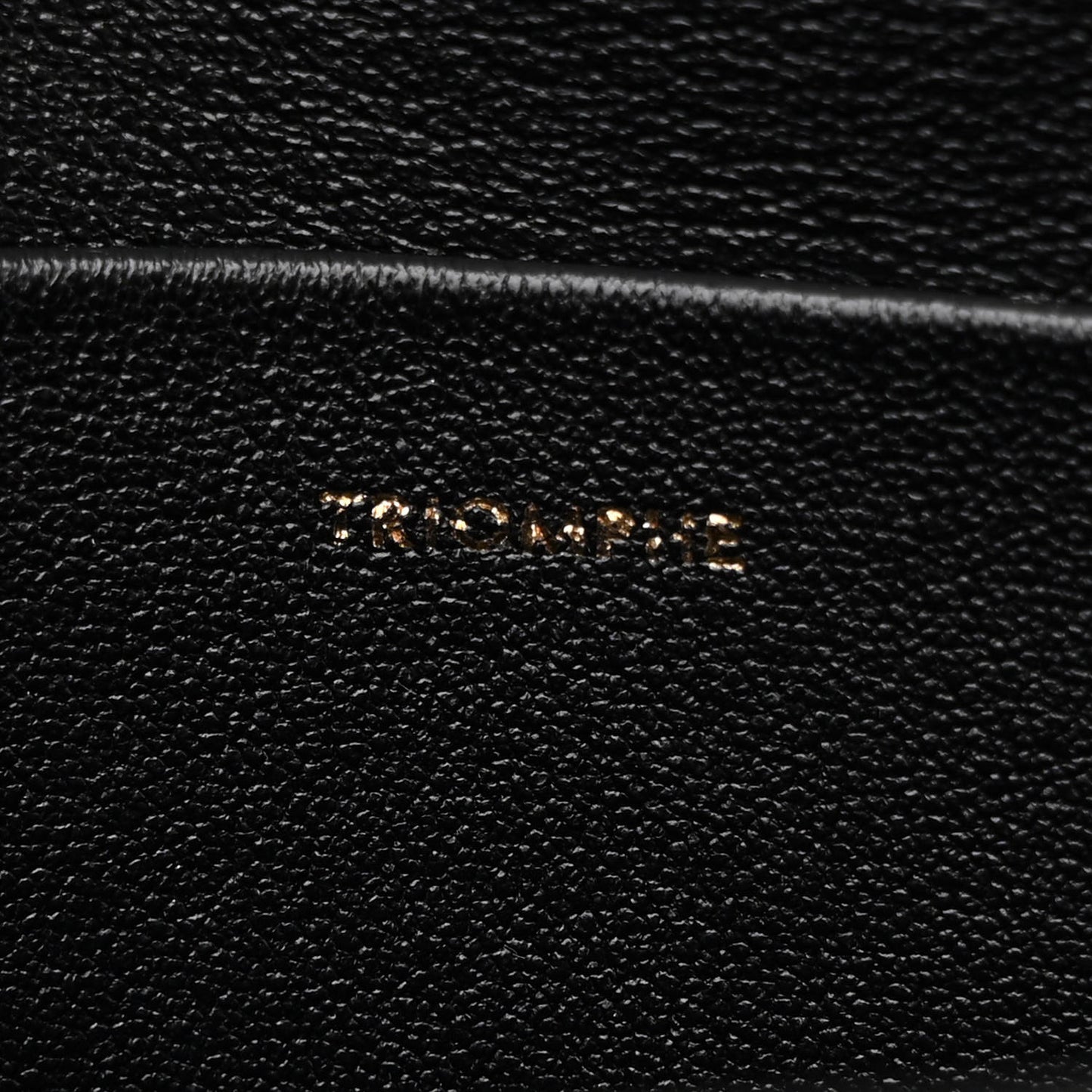 Shiny Calfskin Nano Triomphe Black