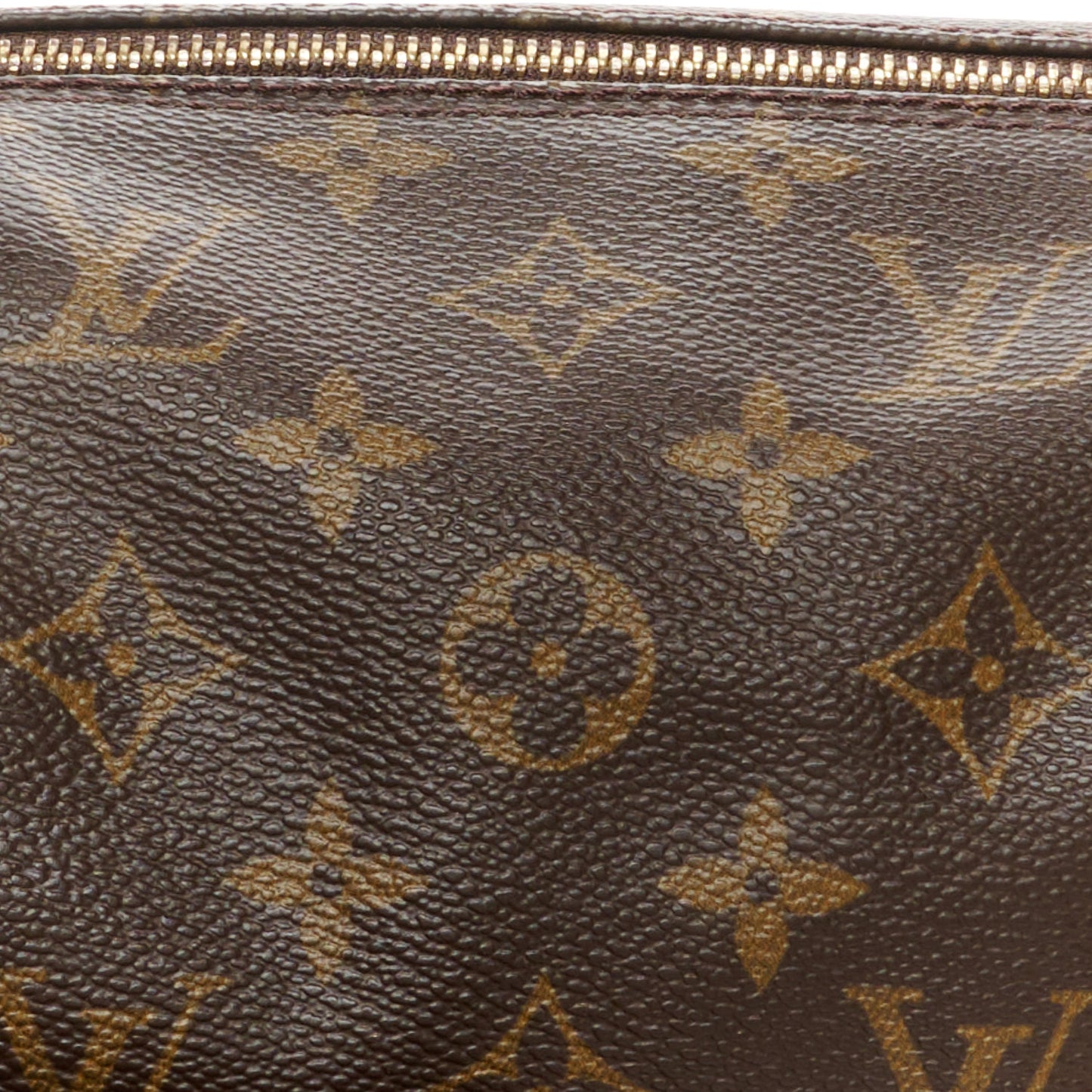 Monogram Papillon 30 with Companion
