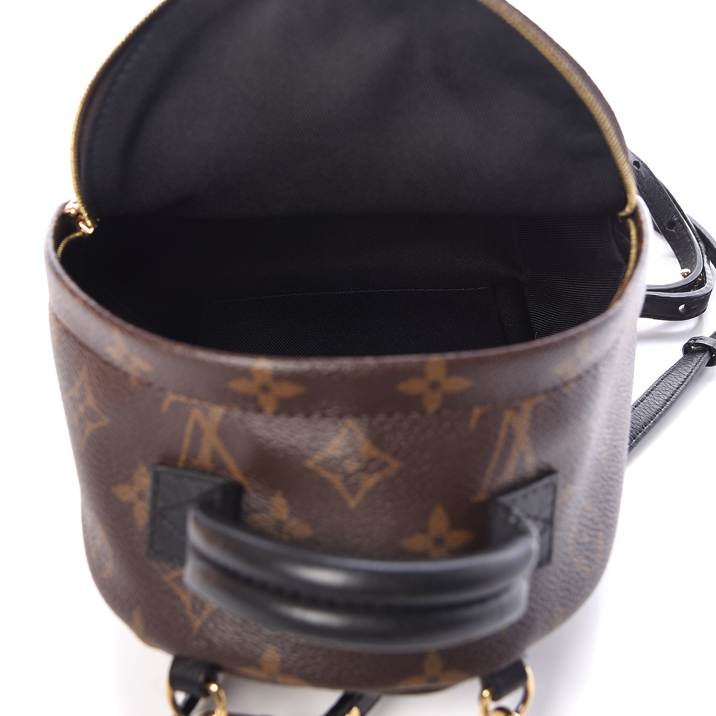 Monogram Palm Springs Backpack Mini
