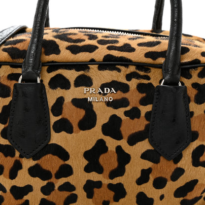 Prada Calf Hair Ostrich Leopard Print Inside Tote 13 of 15
