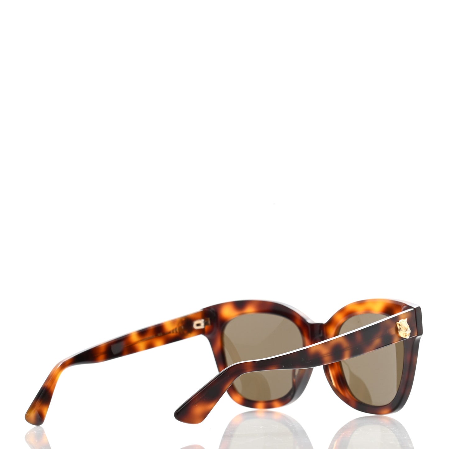 Acetate Square Frame Sunglasses GG0029S Tortoise