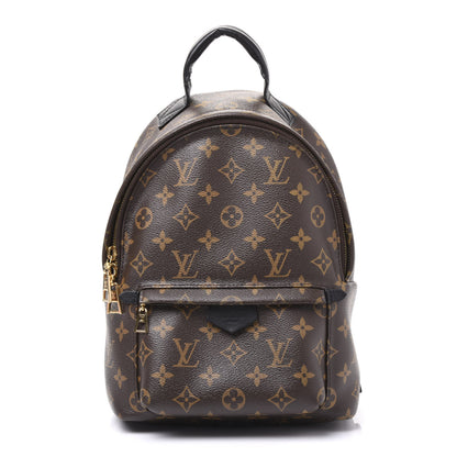 Louis Vuitton Monogram Palm Springs Backpack PM 1 of 11