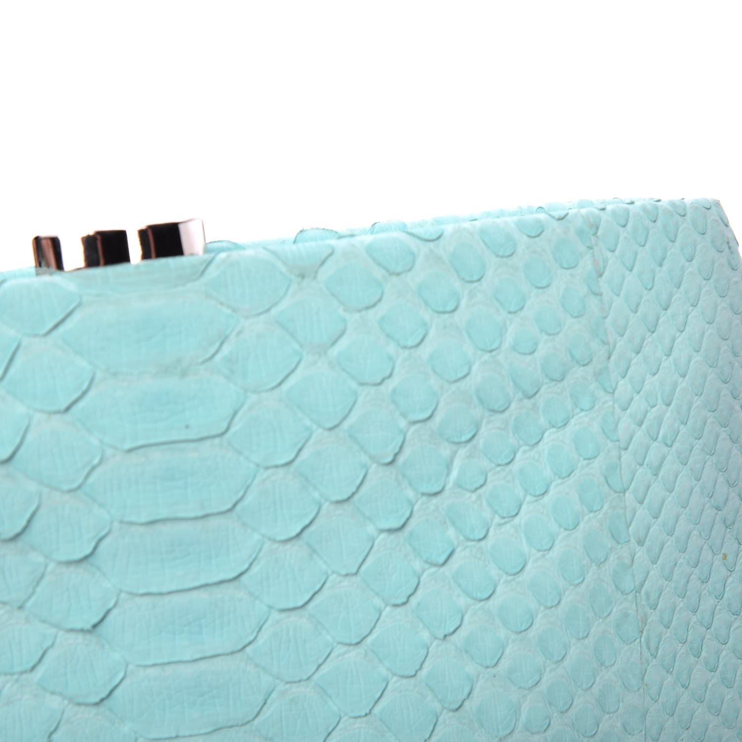 Chanel Python Timeless Clutch Blue 14 of 15