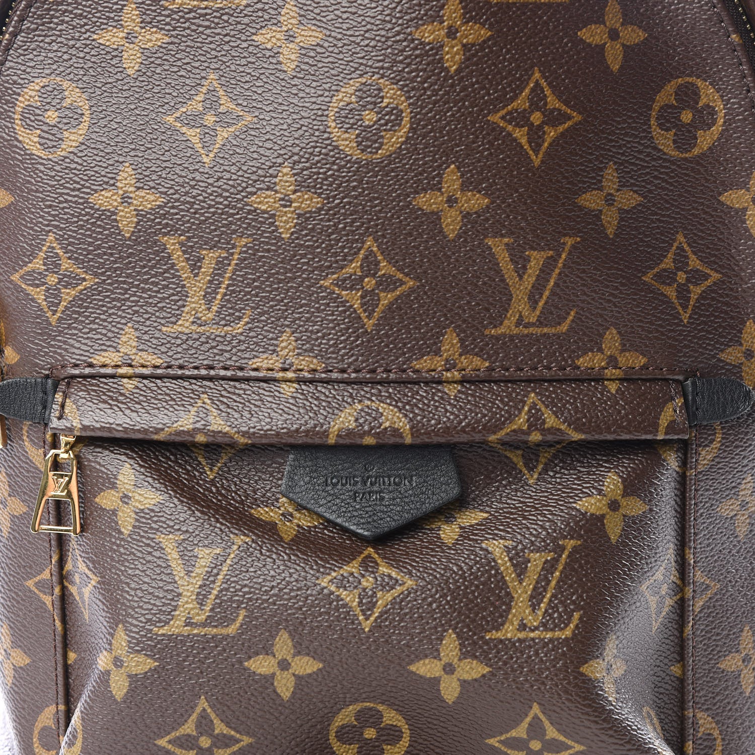 Louis Vuitton Monogram Palm Springs Backpack PM 10 of 10