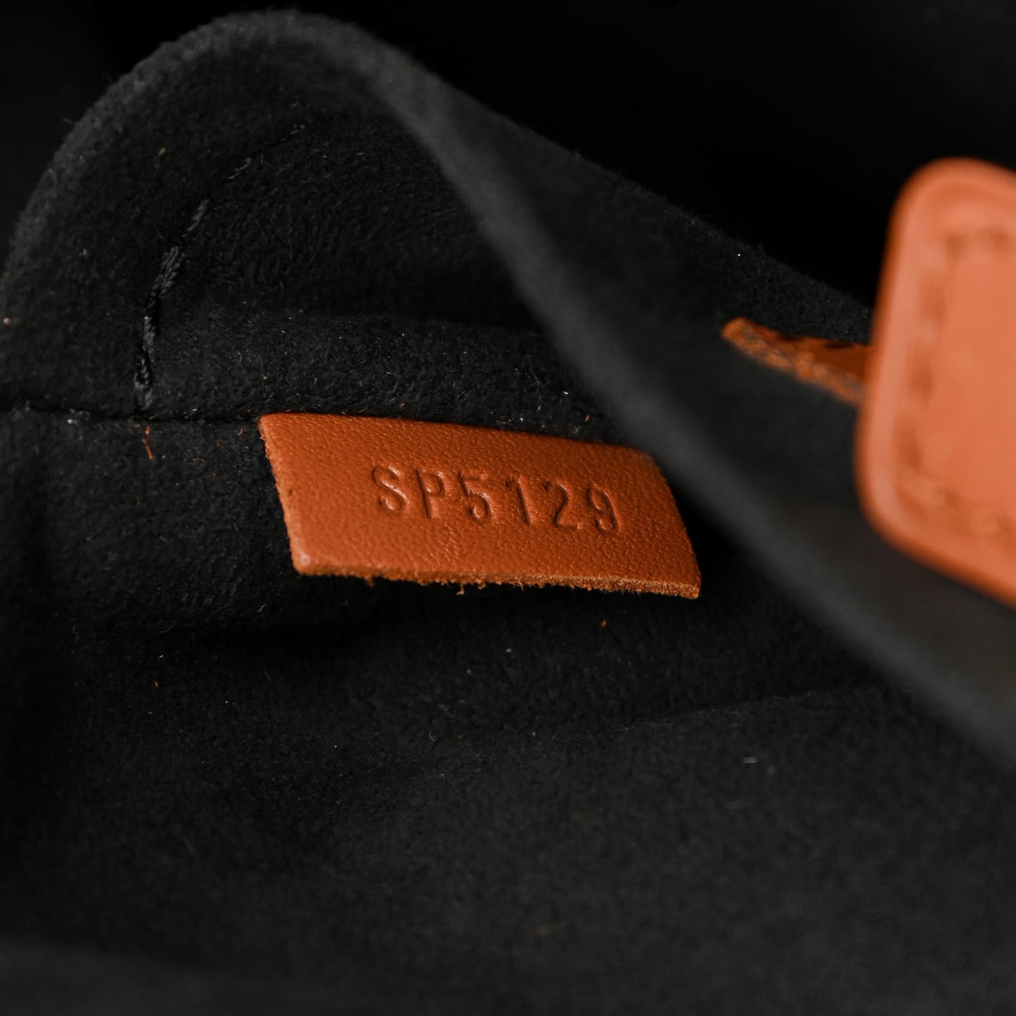 Reverse Monogram Dauphine Backpack PM