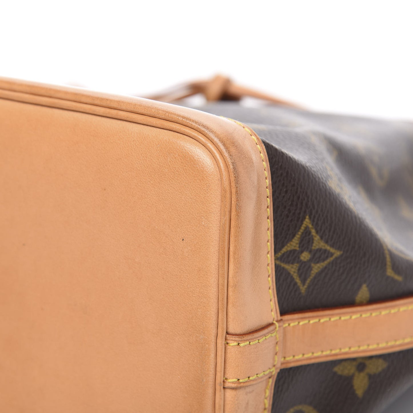 Monogram Mini Noe