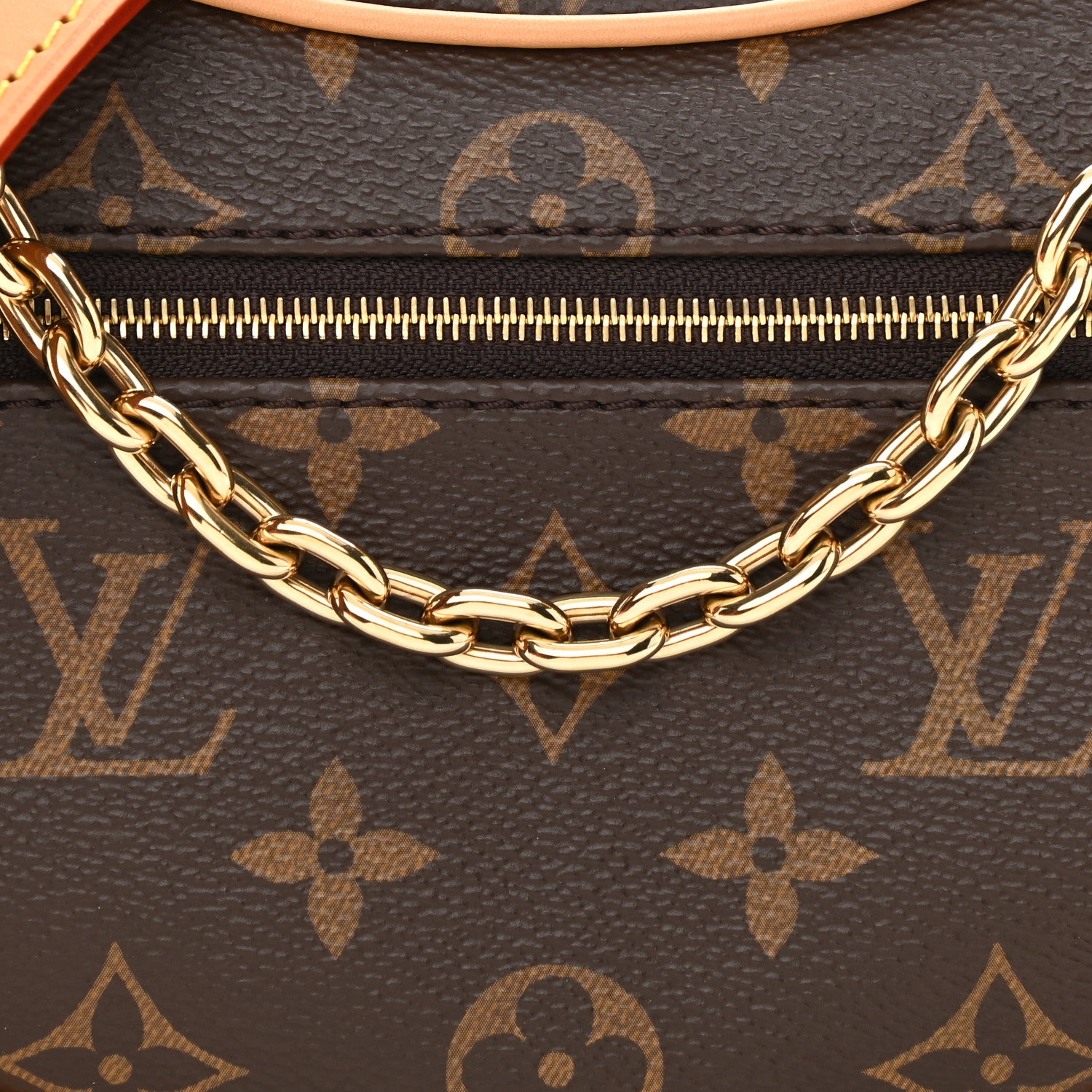 Louis Vuitton Monogram Loop 7 of 8