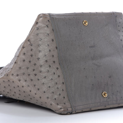 Saint Laurent Ostrich Medium Downtown Olive 6 of 9