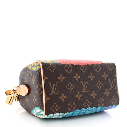 Louis Vuitton LV X YK Monogram Pumpkins Speedy Bandouliere 20 4 of 11