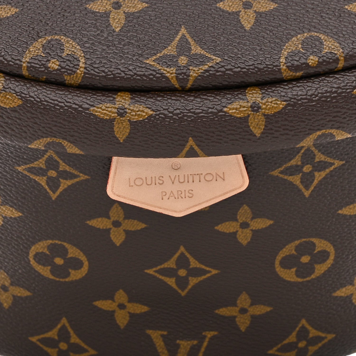 Louis Vuitton Monogram Bumbag 8 of 11