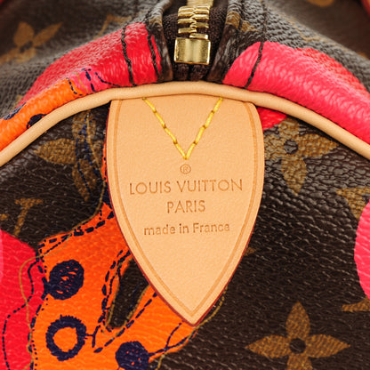 Louis Vuitton Monogram Ramages Speedy 30 Grenade 5 of 7
