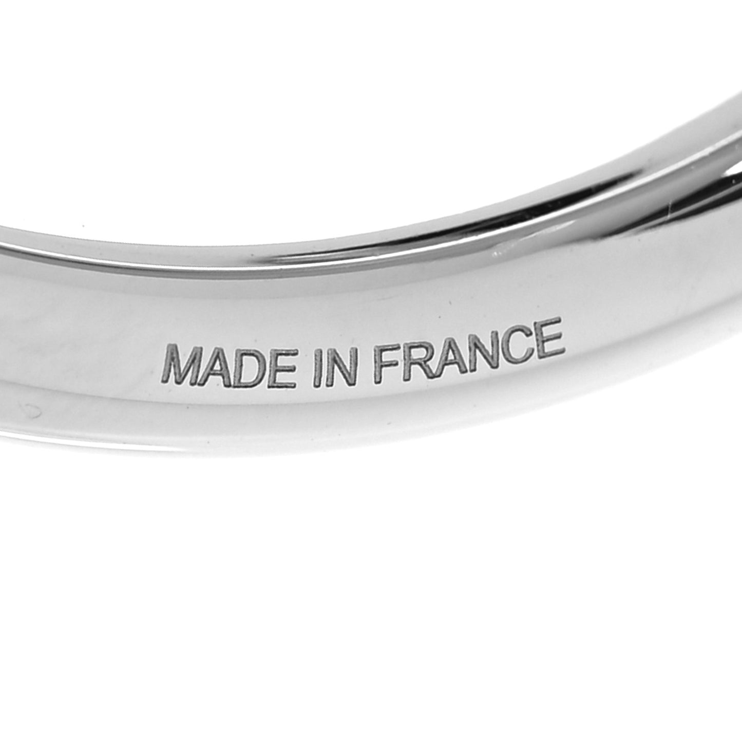 Stainless Steel Fer a Cheval Key Ring