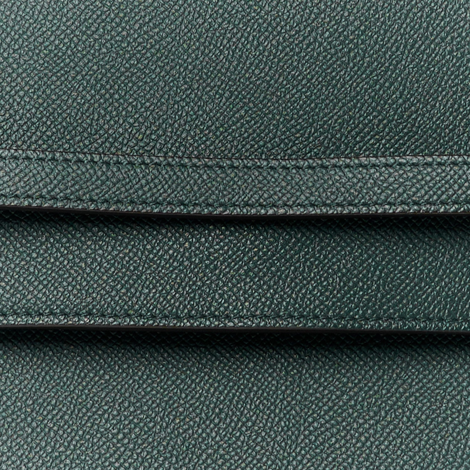 Celine Grained Calfskin Micro Belt Bag Amazone 9 of 12