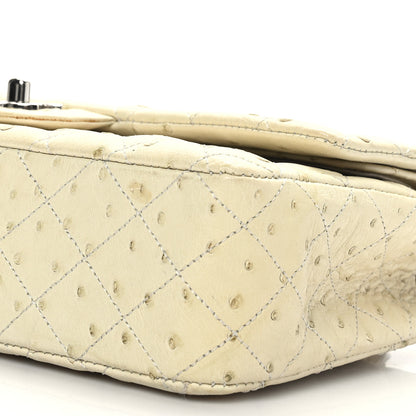 Chanel Ostrich Medium Double Flap Light Beige 9 of 10
