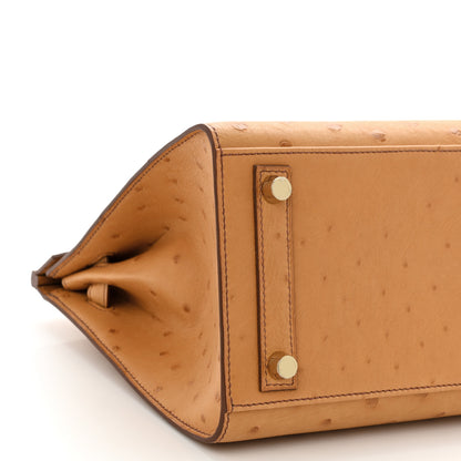 Hermes Ostrich Birkin Sellier 25 Gold 9 of 10